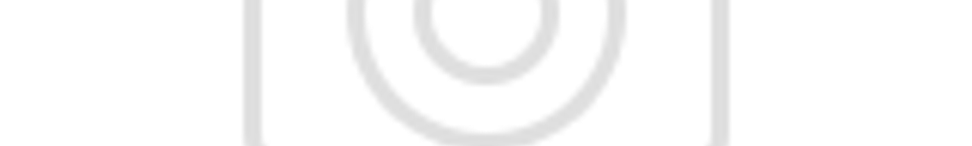 0eef41a0-8aea-4cb3-9518-e68cf96e6bfe-нет фото.png